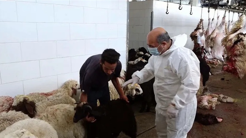 ارتفاع الحصيلة.. الصحة تعلن عن إحصائية جديدة بالحمى النزفية