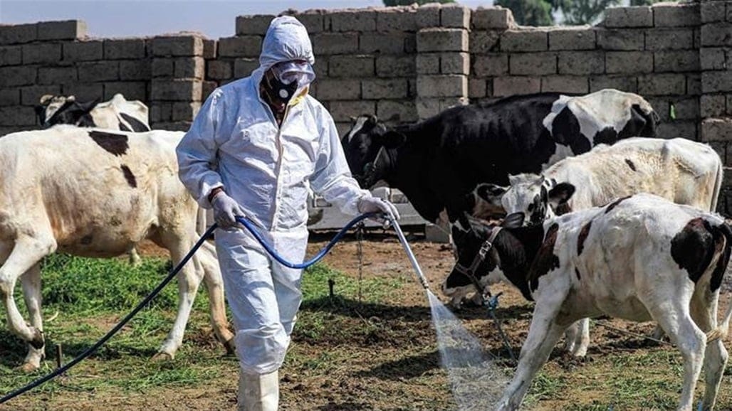 تسجيل وفاة ثالثة بالحمى النزفية في كركوك