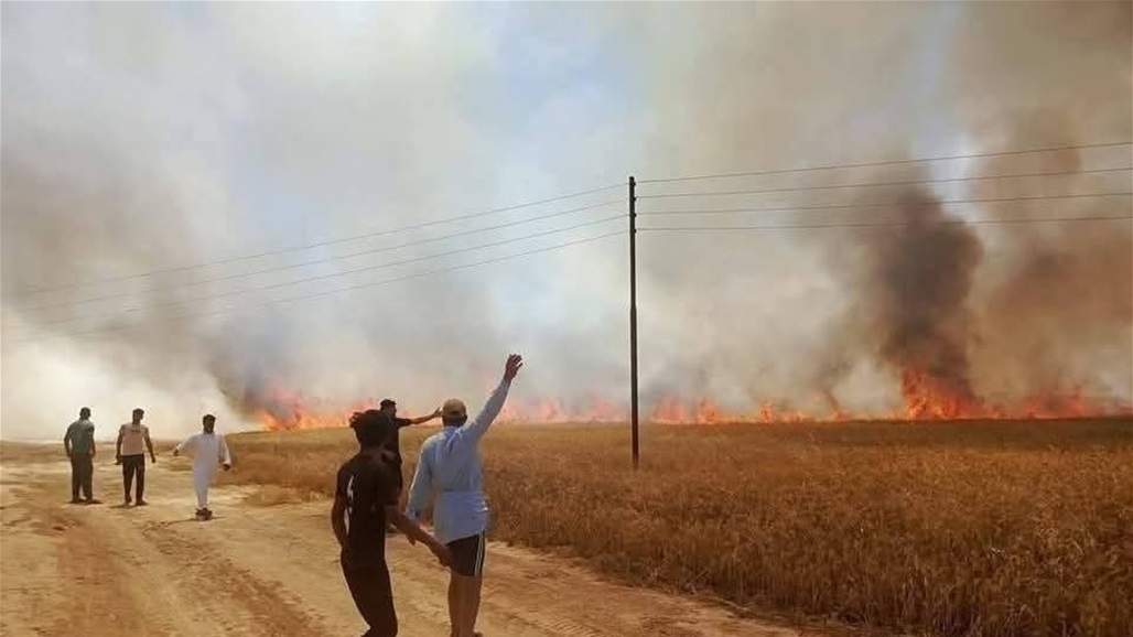 انقاذ 100 دونم حنطة من حريق في صلاح الدين