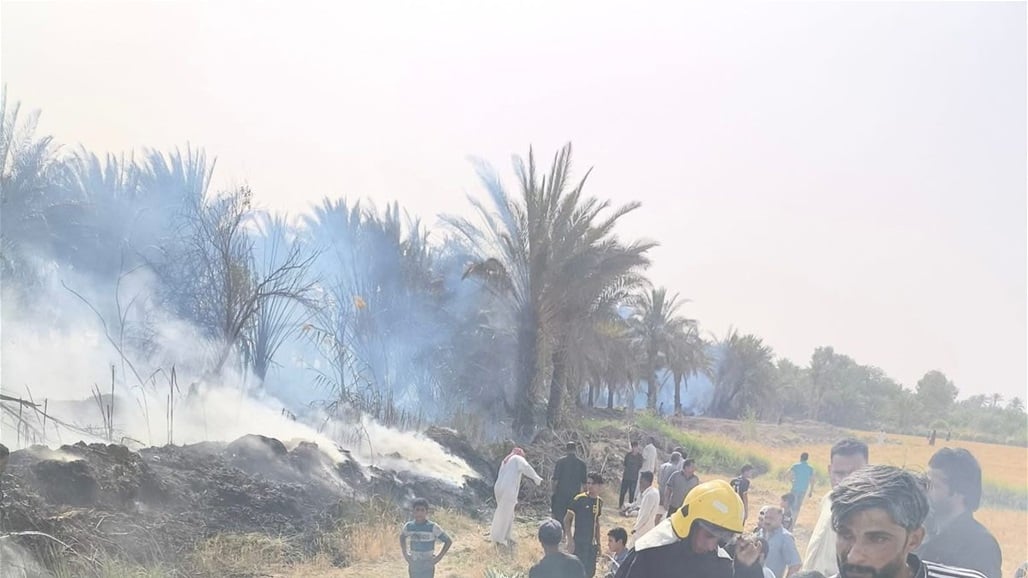 حريق يلتهم 5 بساتين غربي الديوانية