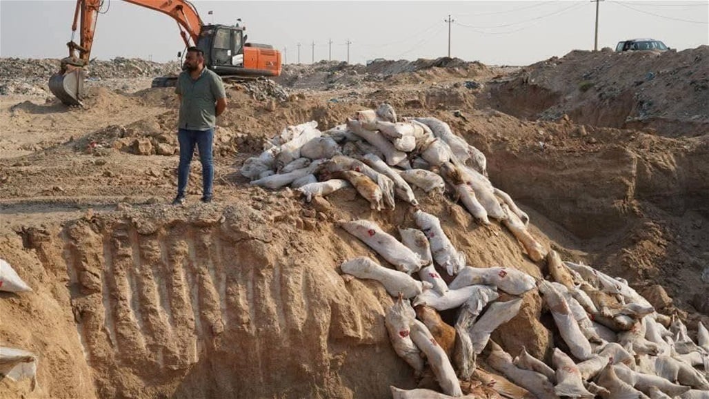 في بغداد.. اتلاف 50 طناً من اللحوم المستوردة