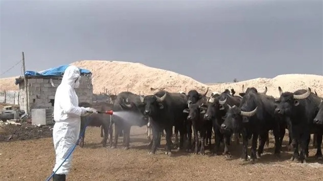 إصابة جديدة بالحمى النزفية في العراق