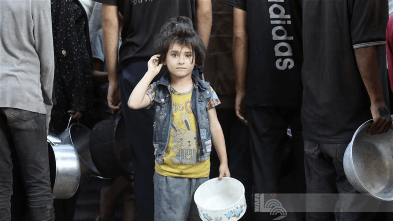 حصيلة صادمة لضحايا الجوع في غزة خلال 24 ساعة