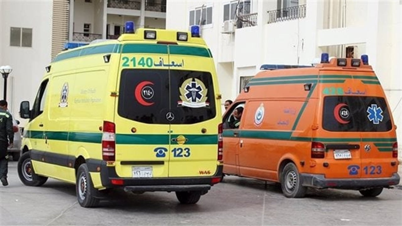 مقتل لاعبة جودو مصرية على يد زوجها
