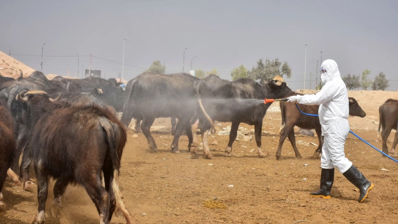 تسجيل حالة إصابة جديدة بالحمى النزفية في دهوك