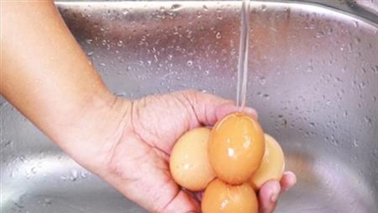 تحذيرات صحية.. اغسلوا البيض