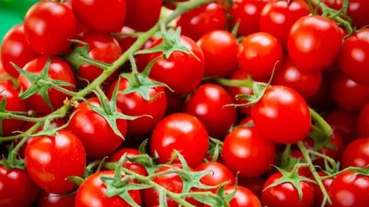 الطماطم الكرزية والهواتف المحمولة.. نتنياهو: هذه المنتجات تزرع وتصنع بإسرائيل