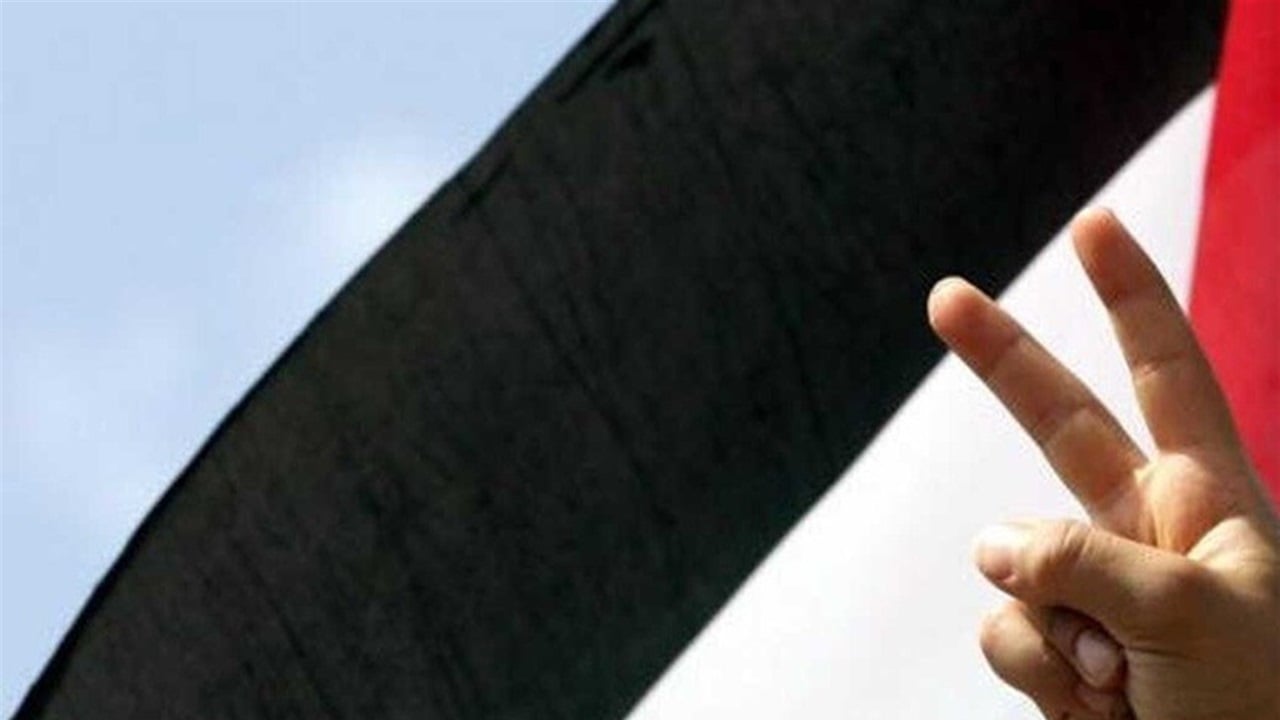 على الخطى فرنسا.. البرتغال تعتزم الاعتراف بدولة فلسطين الأحد المقبل 
