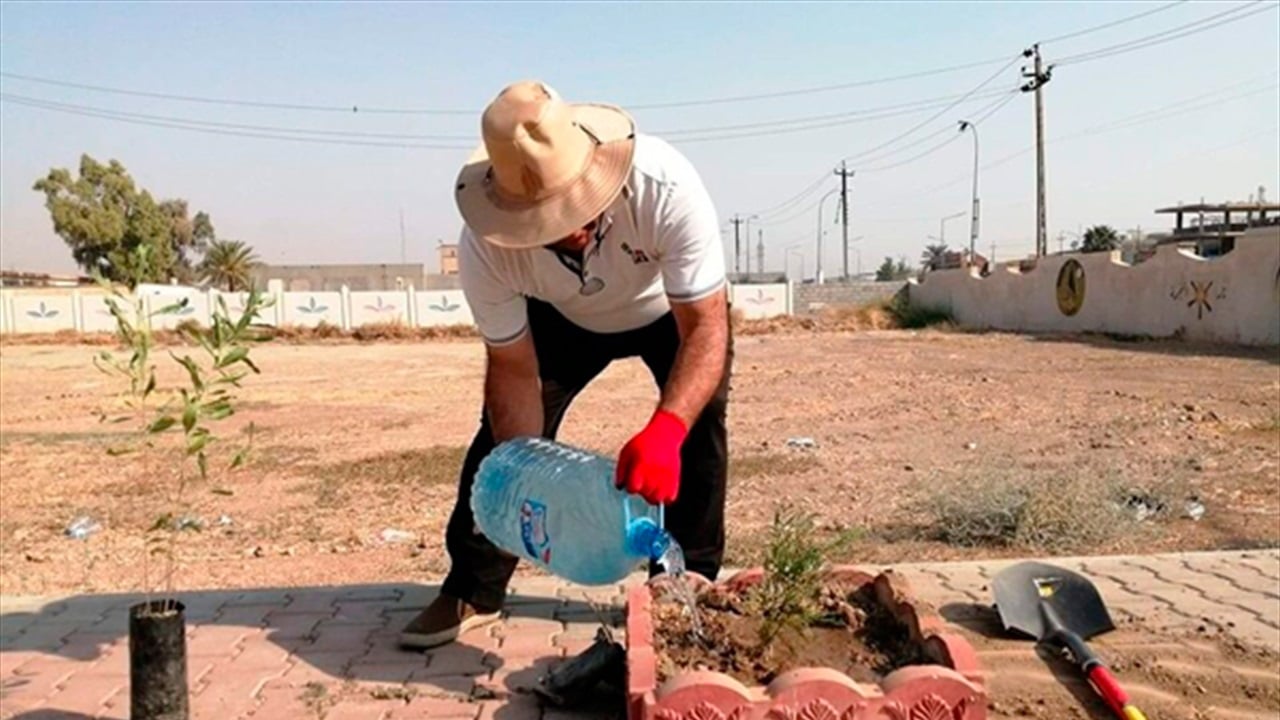  حملة لزراعة 300 ألف شجرة معمرة في بغداد