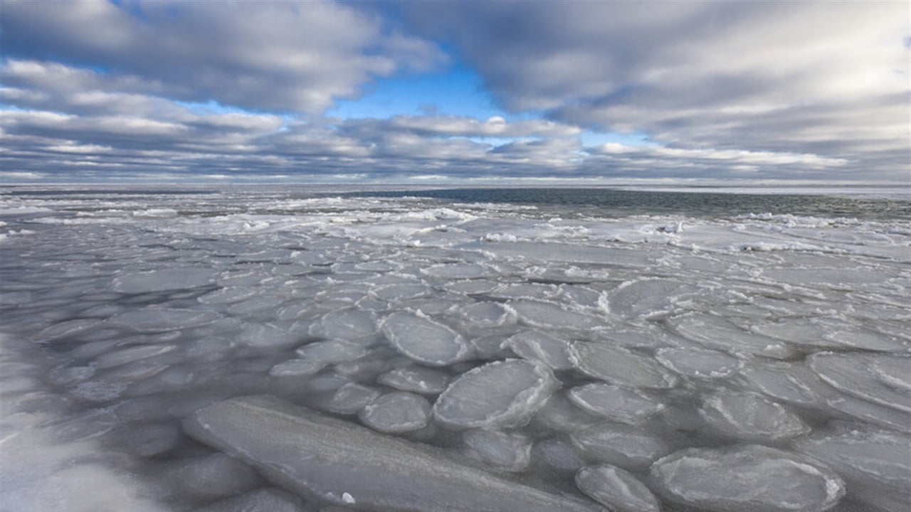 الحياة &quot;المستحيلة&quot; موجودة تحت جليد القطب الشمالي.. هذا ما تم اكتشافه!!