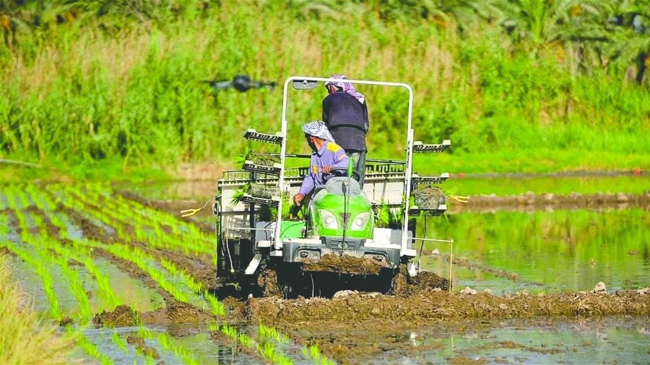 الزراعة تكتب قانوناً جديداً لجذب المستثمرين وتعزيز الأمن الغذائي في العراق