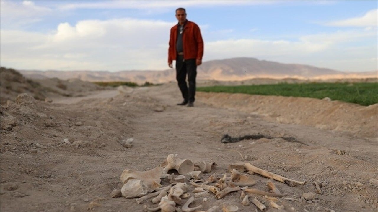 العثور على مقبرة جماعية في حي السحاري بدرعا السورية 