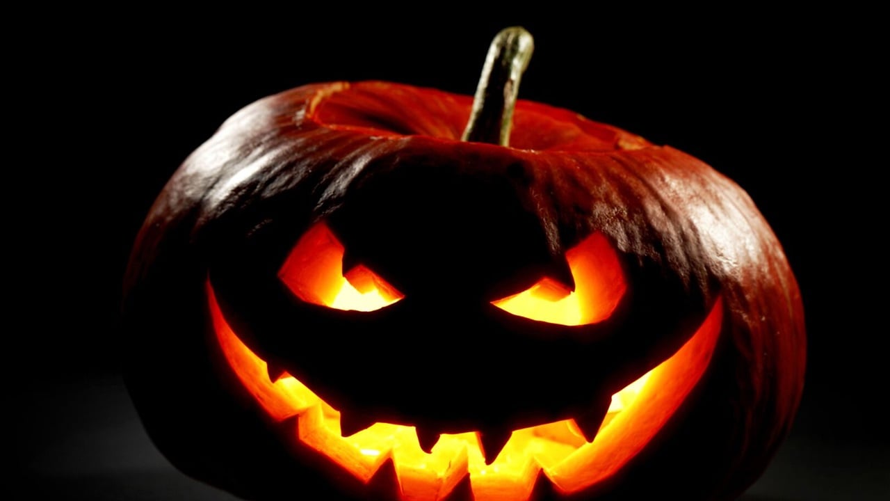 الهالوين.. من مهرجان الأرواح الكلتية إلى احتفال عالمي مثير للجدل