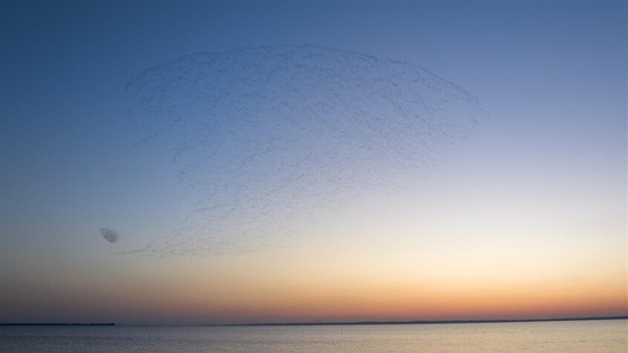 بوتين يحذر من أزمة مياه عالمية..  هذه الدول غنية؟