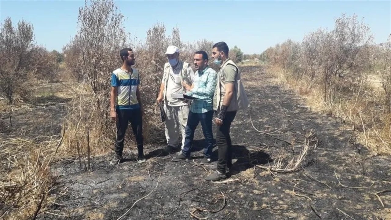 تدمير 80% من الأراضي الزراعية في غزة وتحذير من مجاعة وشيكة