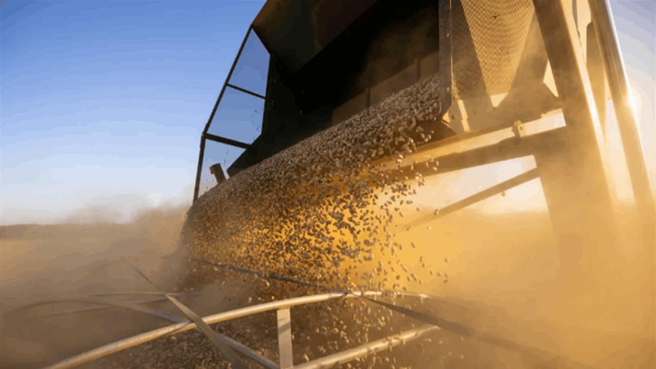 &quot;الفستق&quot; في خطر.. العواصف الشمسية تهدد الزراعة بأمريكا