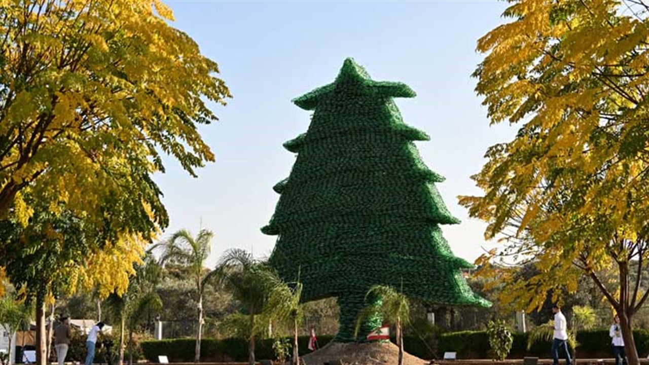 امراة تدخل موسوعة غينيس بأكبر شجرة أرز بلاستيكية (صور)
