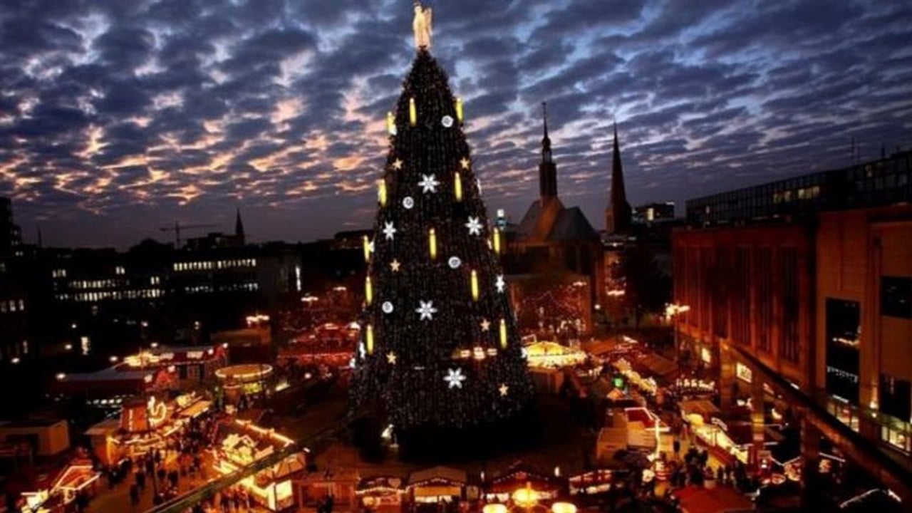 140 ألف مصباح والوزن 40 طناً.. ألمانيا تحتفل بأكبر شجرة عيد ميلاد
