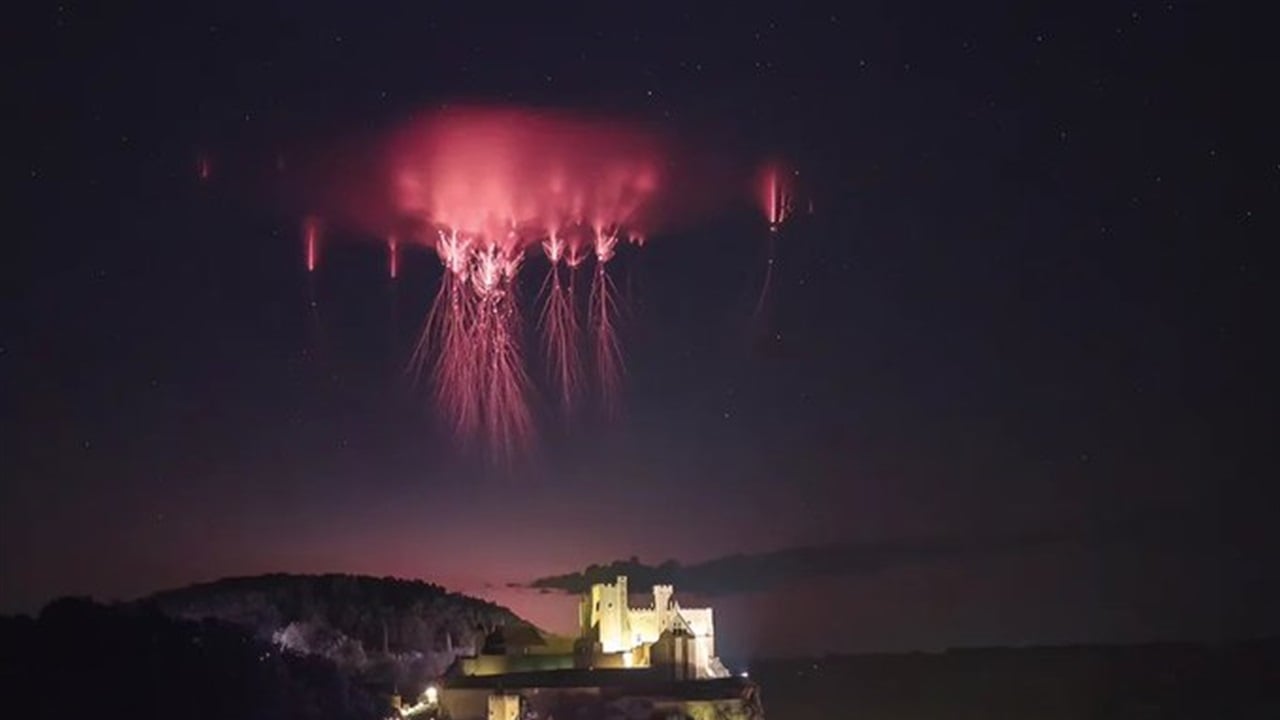 ما طبيعة الأضواء الحمراء في السماء.. قناديل البحر عائمة