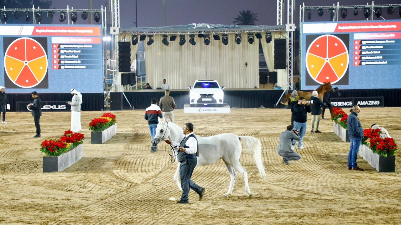 بمشاركة واسعة.. انطلاق بطولة بغداد الوطنية لجمال الخيول العربية