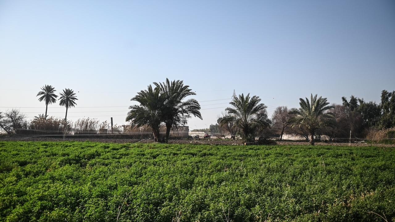 ذي قار وكركوك: استراتيجيات زراعية مبتكرة لمواجهة شح المياه والجفاف