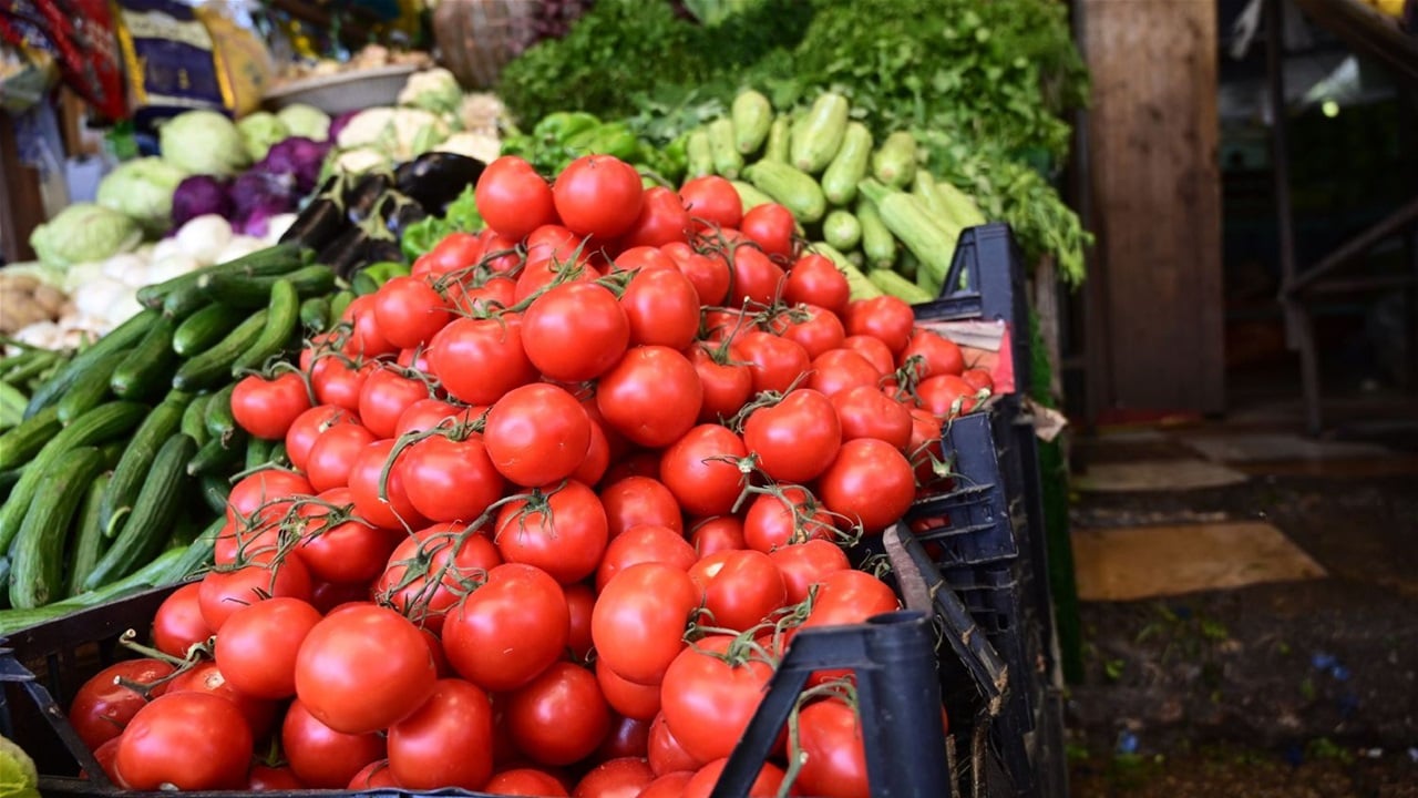 العراق يمنع استيراد 11 محصولا