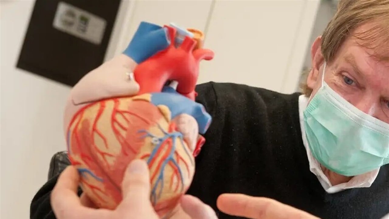 ثورة طبية خارج الأرض.. ألمانيا تسعى لتصنيع "أول كلية بشرية" في الفضاء