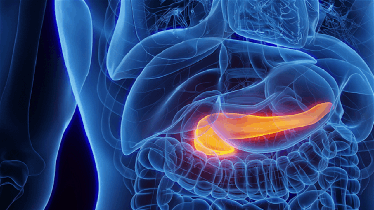 نتعرض لها يوميا.. مواد تتلف وظائف البنكرياس وتهدد صحتنا