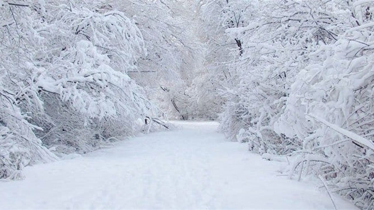 ‏العراق قد يشهد يومًا هو الأشد برودة منذ 2008.. الثلوج ستغزو الوسط والغرب