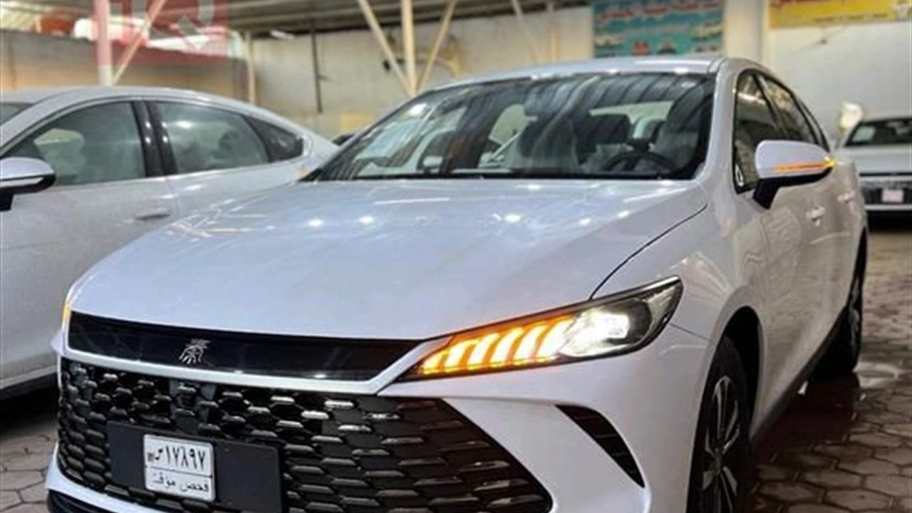 شبهات غسل الأموال عبر استيراد السيارات.. بداية احتكار ثلاث جهات ومناشدات للجهات القضائية 