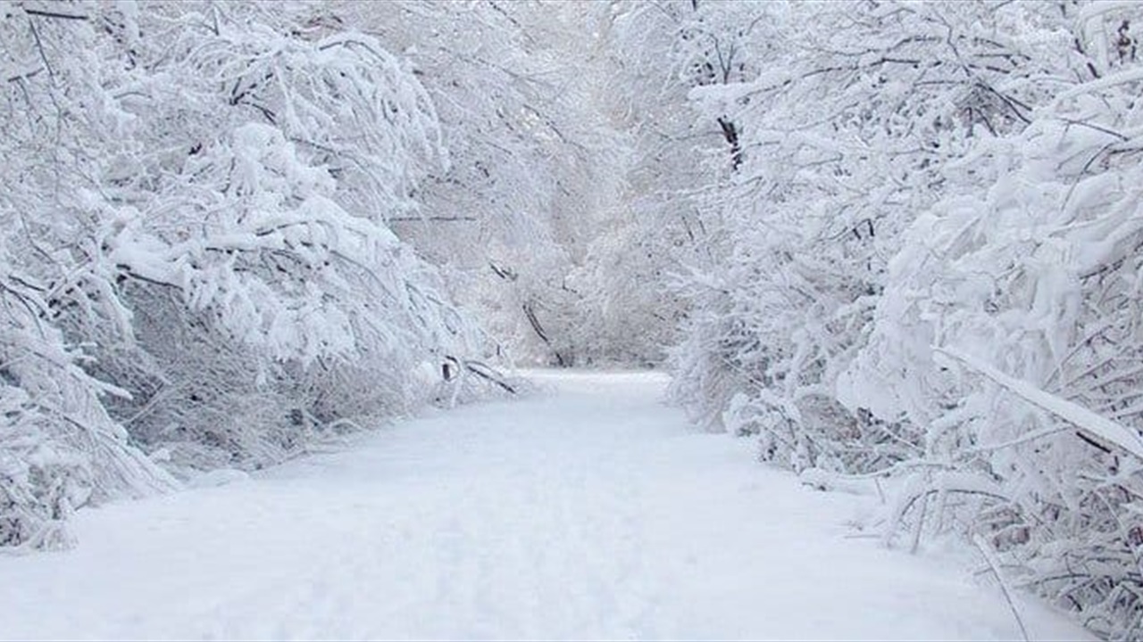 عاصفة ثلجية تشل الحياة في 18 ولاية أمريكية وتؤدي لإلغاء آلاف الرحلات