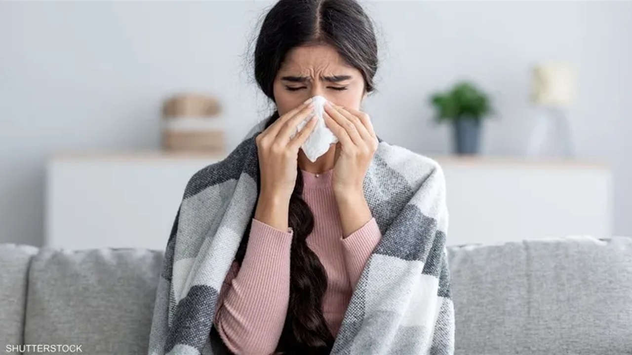 دراسة تحدد قواعد أساسية للوقاية من الإنفلونزا