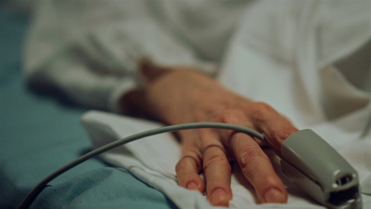 تطورات تخص الحالة الصحية لحياة الفهد