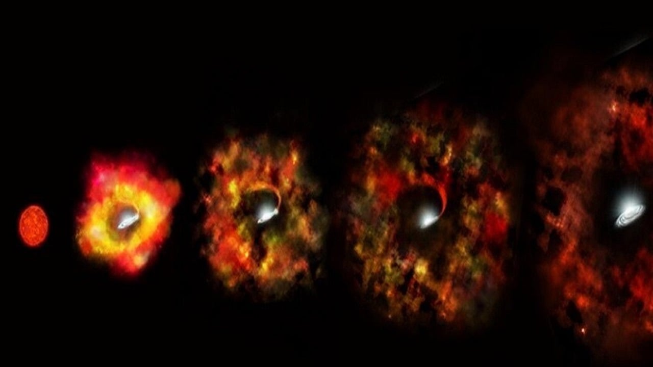 نجم عملاق يتحول إلى ثقب أسود.. تتبع فلكي أول من نوعه 