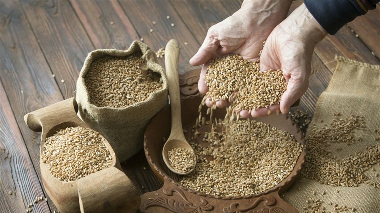 اسعار القمح تواصل الارتفاع بالأسواق العالمية