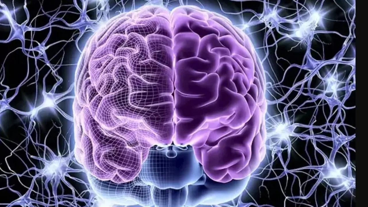 الأطعمة الداعمة لصحة الدماغ والذاكرة.. هل تعرفها؟ 