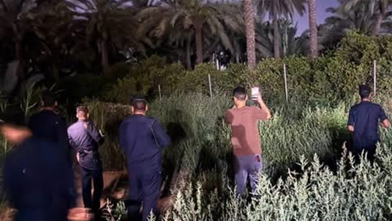 Iraq's Environment Police deny reports of escaped lion north of Baghdad