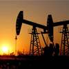 ارتفاع أسعار النفط الأمريكي بنسبة 12%