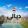 إحباط بيع طفلة حديثة الولادة في ديالى