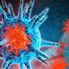 فيروس H3N2 يفتك بسكان الهند.. هل يحمي اللقاح وما هي طرق الوقاية؟