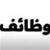 هذه الوظائف عرضة للخطر