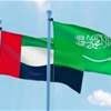 الإمارات ترد على بيان السعودية وترفض مزاعم "تأجيج الصراع" في اليمن