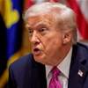 ترامب يصف قادة أوروبا بـ"نمر من ورق"
