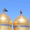 عدسة السومرية توثق مراسم زيارة الإمام الجواد (ع) من داخل مرقد الكاظمين