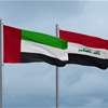 مستشار الرئيس الاماراتي يهاجم الفصائل المسلحة بالعراق: مؤشر خطير على حجم التهديد بالمنطقة