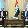 الزيدي والمالكي يؤكدان ضرورة استكمال تشكيل الحكومة