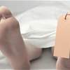 يقتل 700 ألف شخص سنويا.. "أخطر كائن في العالم"