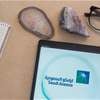 أرامكو تطرح شحنات نفط للبيع خارج مضيق هرمز  