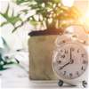 6 عادات صباحية تساعدك على بدء يومك بنشاط