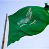 دبلوماسي سعودي: عرضنا الاجتماع مع الحوثيين لكنهم رفضوا